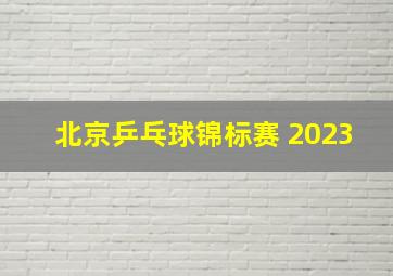 北京乒乓球锦标赛 2023